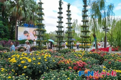 提前曝光！福州西湖菊展要来了！超1000种菊花惊艳亮相，还有30米“祥龙”……